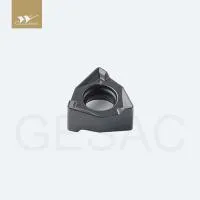 WNGU040304-GM-GM2140.jpg