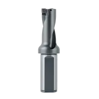 GHDS-2D