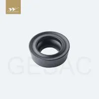 RPMT1003M0T-GM-GM2140.jpg