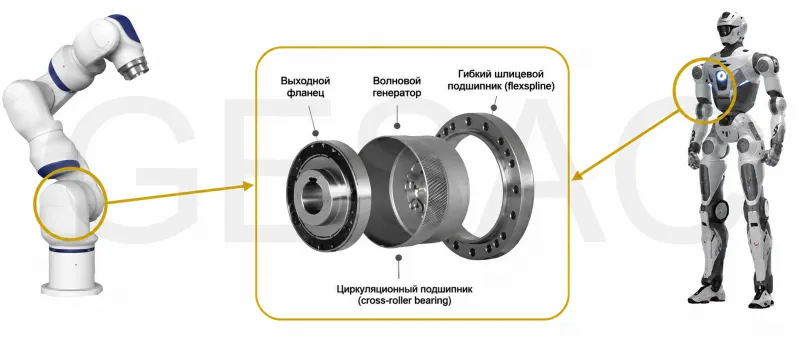 Решение от GESAC: Обработка гибких колёс для гармонических редукторов – преодоление вызовов при изготовлении высокоточных зубчатых передач для робототехники
