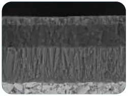 GPT6130